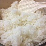日本人はやっぱりお米です！！