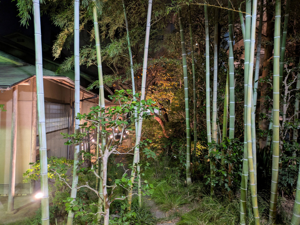 PXL_20251208_083426423